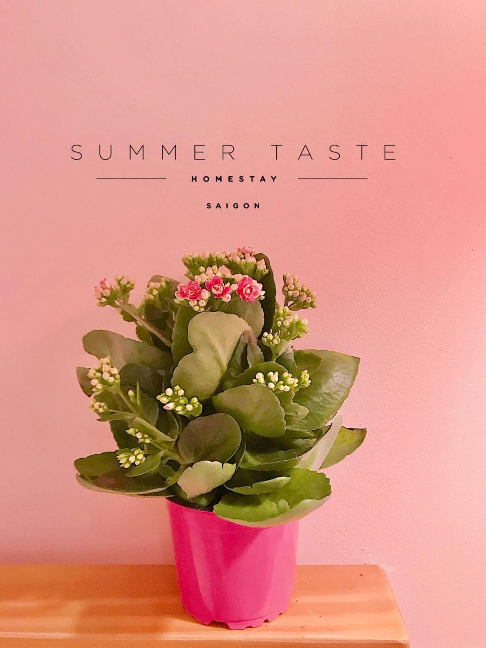 Summer Taste Homestay Ho Şi Min Dış mekan fotoğraf