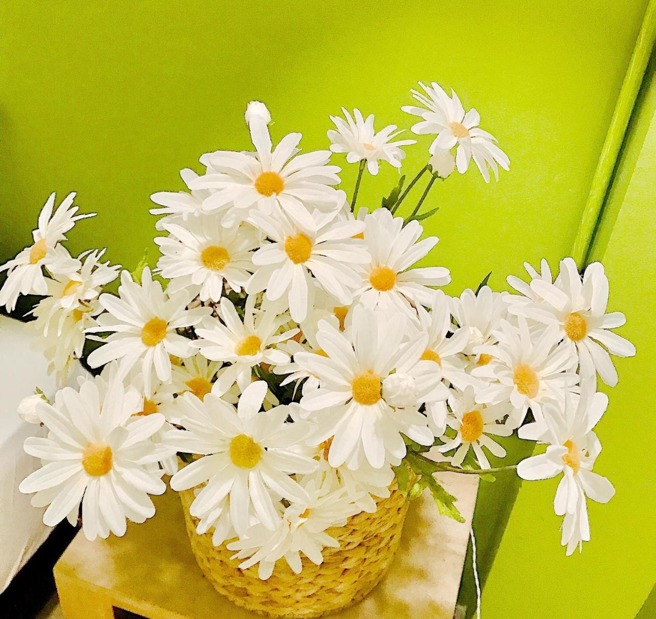 Summer Taste Homestay Ho Şi Min Dış mekan fotoğraf
